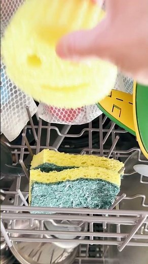 Your Dishwasher Can Clean More Than Just Dishes!
