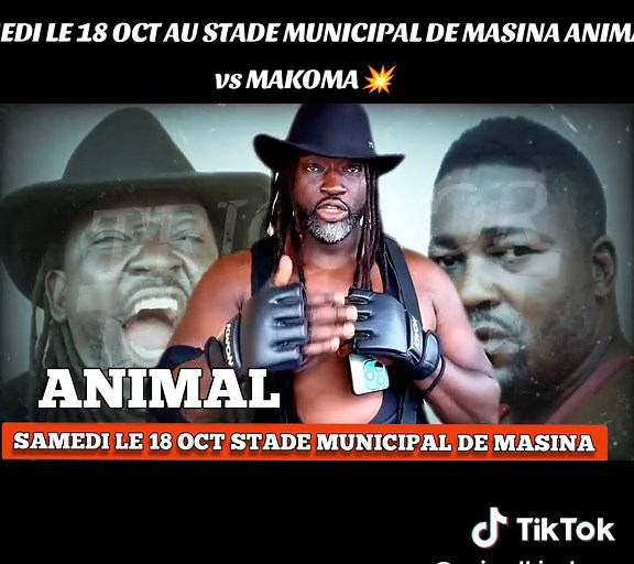Catch Congolais: Animal vs Makoma au Stade Municipal