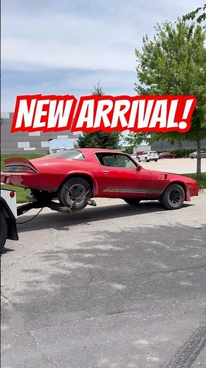 The Shop Got A New MAIN CHARACTER 🔥 | 1981 Z28 Camaro