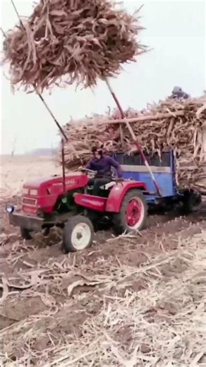 A Simple and Practical Straw Harvesting Machine