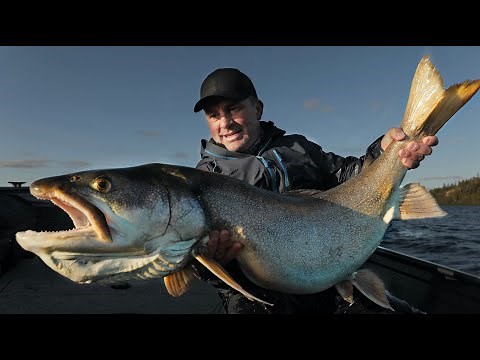 THE BIGGEST TROUT OF MY LIFE! - Cyril Chauquet
