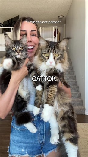 Cat lovers only ✋🏼