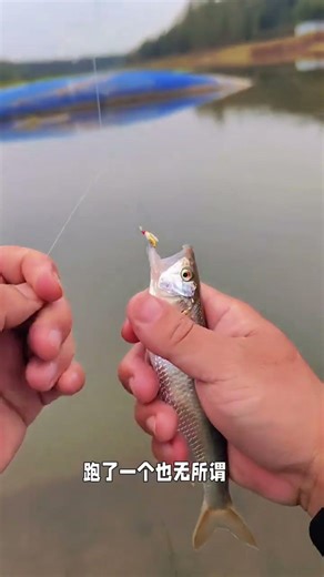 Extraordinary Double Pegasus Bait: Master the Art of Lure Fishing! LuYa LureFishing