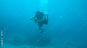 Scuba diver in blue water swims towards camera. Single isolated underwater swimmer moves forward in clear tropical warm water with full gear.