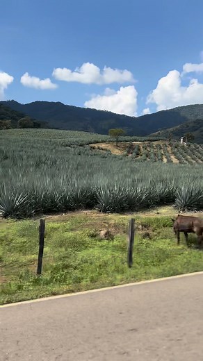 173K views · 3.4K reactions | ¿Ya conocen los nuevos paisajes que se están dando en Coalcomán? | Coalcomán Michoacán 453 | Facebook