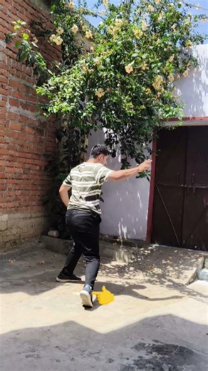 step back Kick training #tutorial