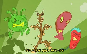 免疫系统致病微生物科普动画故事 How Your Immune System Works