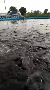 A full Recirculating Aquaculture drum filtration system of Grow out system. 2348033883741 | Adeyemo Simon