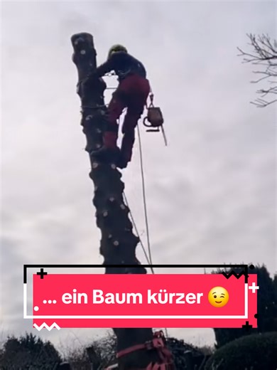 ... uiiiii 😲 auch schon wieder 2 Jahre her. Wie schnell doch die Zeit vergeht. #minibaggerfuzzi #baumabtragung #rodungsarbeiten #minibagger #motorsäge