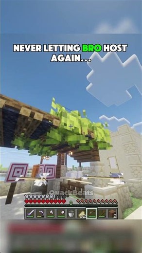 Never Letting Bro Host Again #minecraft #gaming