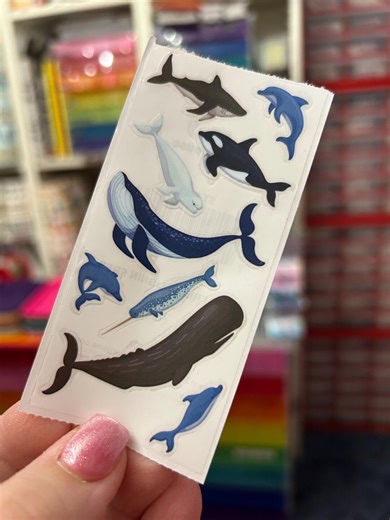 Ocean Animal Whale Dolphin Manatee Shark Stickers - Etsy