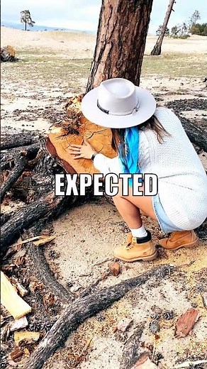 Uranus' Rings: The Accidental Discovery