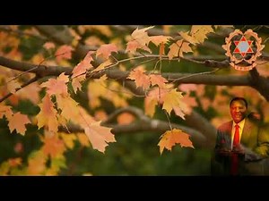 IPHC-MODIMO WA WASEVELETSA