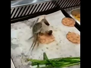 Mr.Krabs "Money Money Money Ahhh Ahhh Ahhh" 3