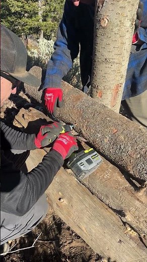 Ryobi Compact Impact Driver #ryobitools