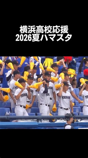 【高校野球】横浜高校応援 2026夏ハマスタ #横浜高校 #高校野球 #高校野球応援