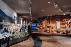 Draper Natural History Museum