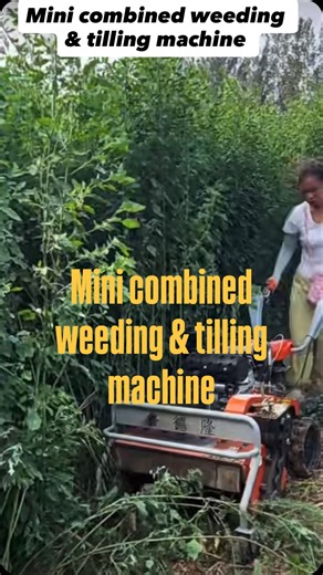 Combined weeding and tilling machine, suitable for farm clearing and cultivating | Denraks Machinery