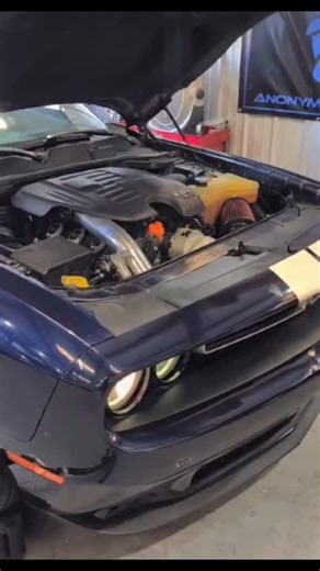 @flyinryanperformance orchestrated the supercharger symphony to the tune of 419 WHP 388 FT/LBs 🫡 on this RIPP Supercharged V6 Challenger. #rippsuperchargers #rippsupercharged #dodge #charger #challenger #sxt #gt #pentastar #mopar #jeep #grandcherokee #srt #wk2 #wrangler #jk #jeepwrangler #jl #jt #gladiator #supercharged #durango #hemi #hemipower #superchargedhemi #manufacturer | RIPP Superchargers