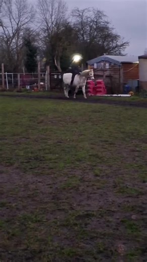 #MRDARCY || Bareback AND bitless?! And at dusk? What on earth was I thinking…?! I’m joking. If this isn’t the ultimate goal with your pony, I don’t know what is better apart from tackless coming next time 😝 We actually had brakes when we went for a trot around but I think a canter is a good idea sooner or later… Overall I promise I don’t have a death wish but Darcy was so so good, I love this boy so much 🥹 Ignore the big light that is covering my face, I was riding with a headtorch as it was p