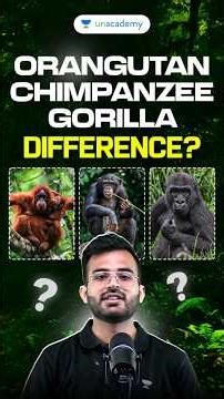 Difference Between Orangutan, Chimpanzee, Gorilla | Orangutan PYQ UPSC 2023 | Prelims 2026