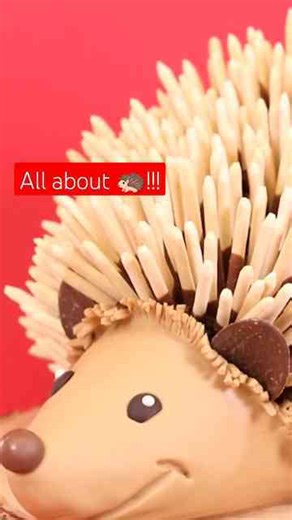 This hedgehog is FILLED TO THE BRIM with goodies!