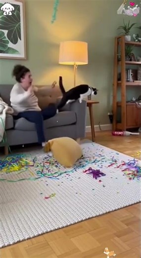 Chihuahua in a scary mask pranks the dog & cat 🤣🐶🐱#chihuahua #funnycats #funnydog #cat #dogs