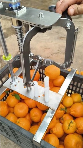 Effortless Orange Peeling in Seconds