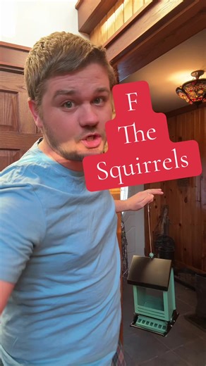 Squirrel Proof Bird Feeder Solution