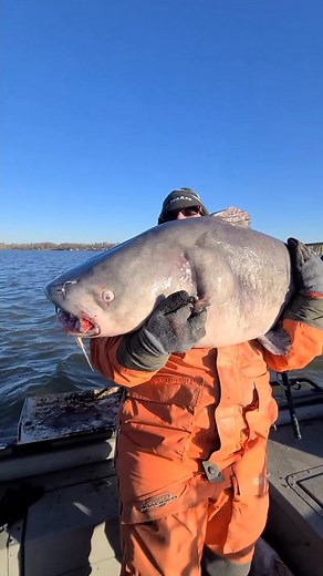 The Catfishing Duo. on TikTok