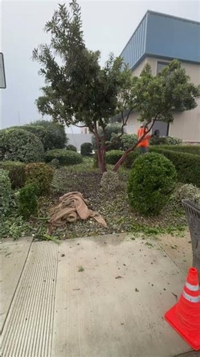 Quick landscape cleanup!