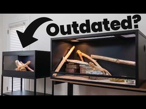 Do Bearded Dragons Really Need Such BIG ENCLOSURES?