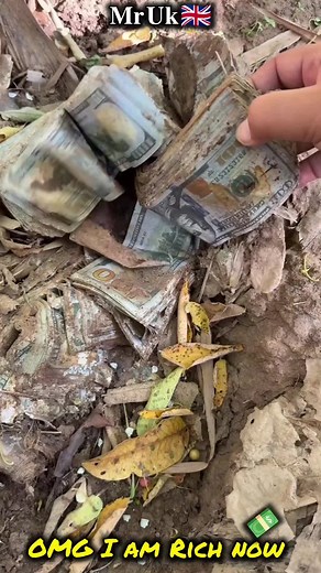 Discover Hidden Treasures with Metal Detecting