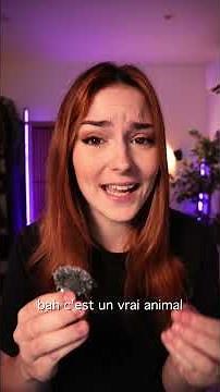 The craziest animals on the planet 🐾 #science #explanation #animals