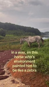 Poetic thought: 'I'm this horse whose environment painted him like a zebra'