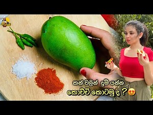 ආයෙත් කොච්චි කොටමුද? 😋 Spicy Mango Pickled by Bandifull