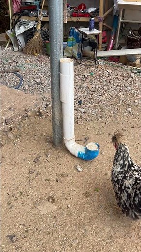 Use simple tools to make a practical chicken feed trough
