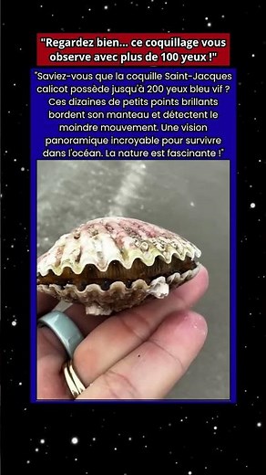 Incroyable Ce coquillage a plus de 100 yeux bleus ! 🐚👀