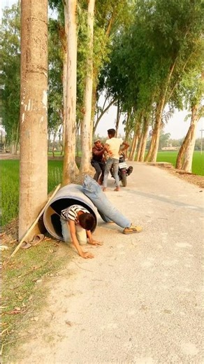 What did they see?px