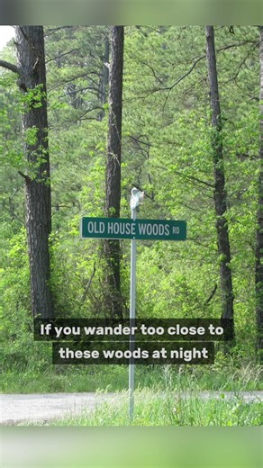 Would you be brave enough to drive down that road late at night? #haunted #creepyplaces #scary | Strange and Creepy
