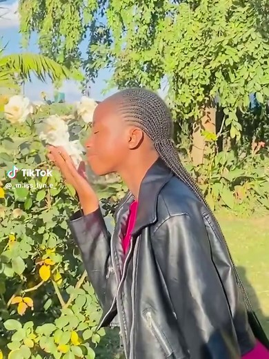 Tatari: Discover Heartfelt Zim Love Songs