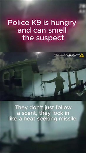 Good Doggo On The Hunt: Police K9 Tracks Hiding Suspect #lawenforcement #policebodycam #k9tracking