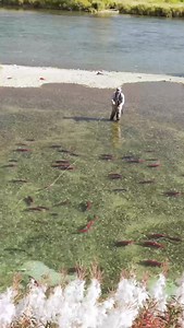 Going to miss this during the cold months! #alaskaflyout #flyfishing #fishalaska #travelalaska | Fly Out