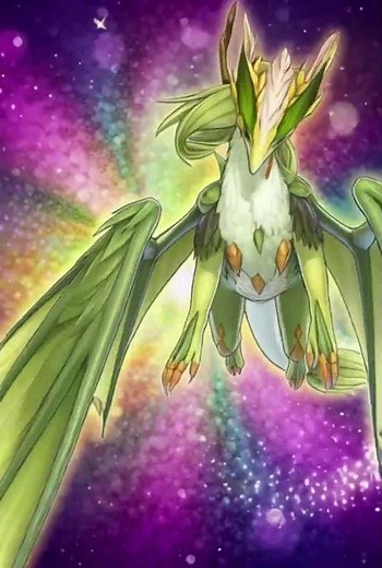 🐉 DRAGONMAID CHANGEOVER COMBO – DAY MAID TO NIGHT BEAST! #YuGiOh