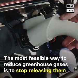 548K views · 2.5K reactions | A bombshell report from the UN says climate change could become irreversible by 2030 | NowThis Earth | Facebook