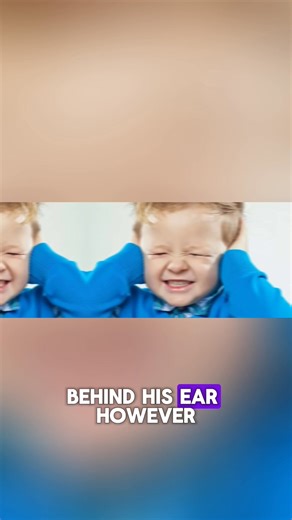 Follow For More Interesting Stories! #DidYouKnow #MindBlown #FactPage #DailyFacts #InterestingFacts #RandomFacts #CuriousMind #KnowTheWorld. | Fact videos