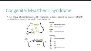 Myasthenia Gravis and Other Neuromuscular Junction Disorders
