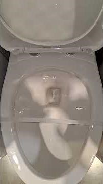 Toilets on Costco Display