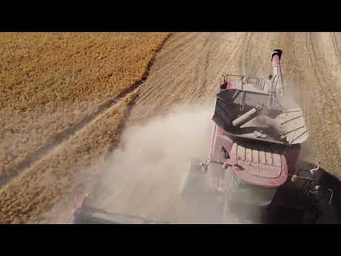 Wheat Harvest in the Palouse area