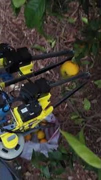 UC San Diego Robotics Institute explores the future of automation and human jobs